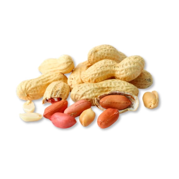 Roasted Unsalted Peanuts in Shell - 10 lb