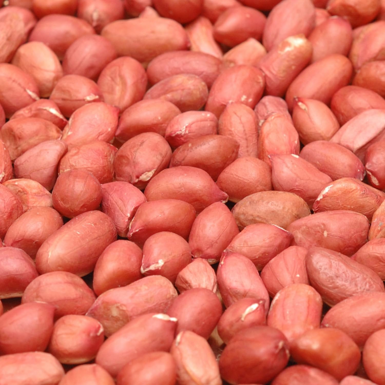 Roasted Unsalted Redskin Peanuts by Its Delish, 5 lbs Bulk Bag Gourmet