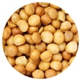 thumbnail image 1 of Roasted and Salted Macadamia Nuts, 1.5 Pound Bag, The Hampton Popcorn & Candy Company, 1 of 5