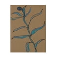 thumbnail image 1 of Rob Delamater 'Little Plants Of Big Sur IX' Canvas Art, 1 of 3