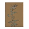thumbnail image 1 of Rob Delamater 'Little Plants of Big Sur XIV' Canvas Art, 1 of 3