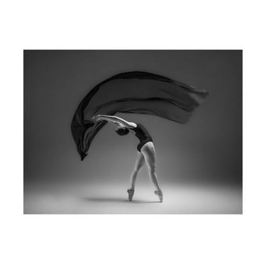 Rob Li 'Dance' Canvas Art