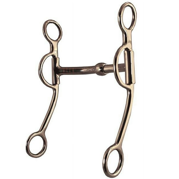 Robart Pinchless Bits IW106 5 in. Walking Horse Bit