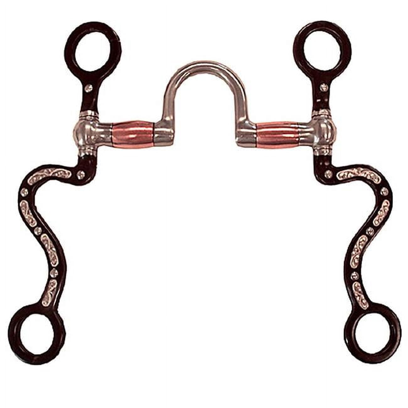 Robarts Bit Robart Pinchless bits IW117 5 in. High Port Western Bit - Walmart.com
