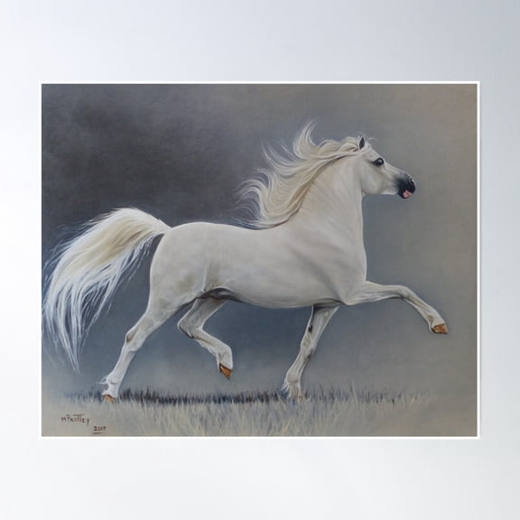 Robbie Poster Wall Art, Modern Wall Decor, 16x24 UNFRAMED