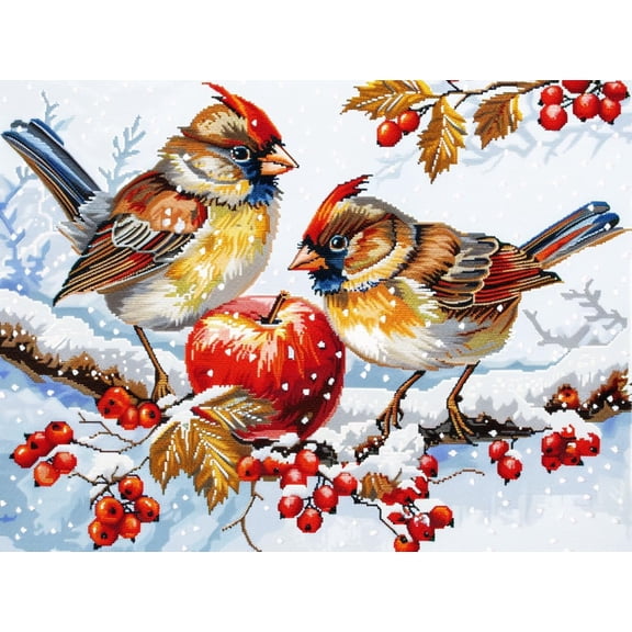 Robbin Birds on Holly Berry Snow Scene DIY 11CT Stamped Cross Stitch Kits for Beginners Easy Needlepoint Embroidery Counted Cross Stitch Art Craft for Wall Decoration 20x28inch(4)