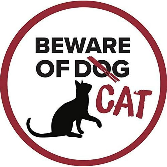 Screen Door Magnets, Keep People and Pets from running into a screen door, Saver Decoration