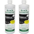 Robelle Black Algaecide for Swimming Pools, Quart
