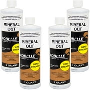 Robelle Mineral Out Stain Remover for Swimming Pools