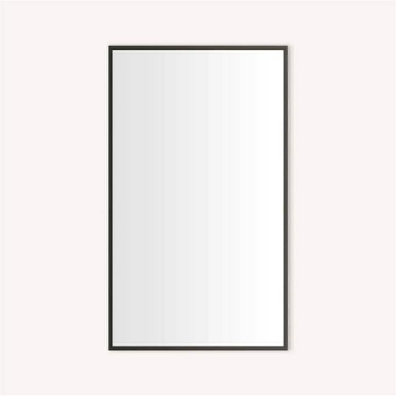 Robern CC2440D4TF68TU 24 x 40 x D4 in. Thin Frame Metal Cabinet - Iron Black