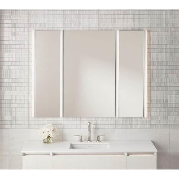 Robern P2C2030D4FPMM 20 x 30 in. PL Portray Medicine Cabinet with Flat Edge, Slow-Close Door & Magnification Mirror