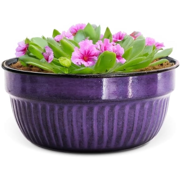 Headwind Glazed Ironstone Boutique Collection Cascade Bowl Plant Pot – Plum Color 8 Inch Pot for Indoor Plants - Planters for Indoor Plants - Ideal Succulent Planters by Robert Allen