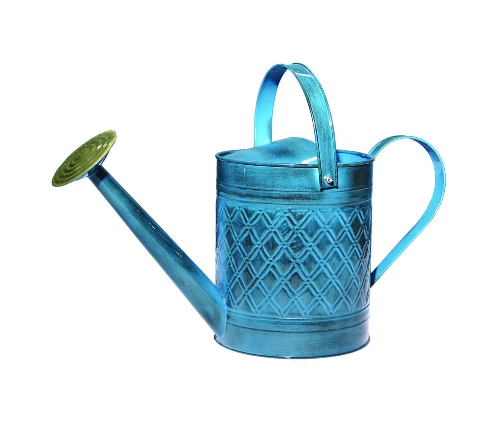 Mountain Waves Blue Metal 2-Gallon Watering Can