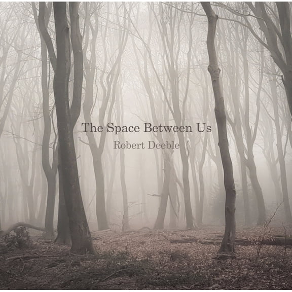 Robert Deeble - The Space Between Us (CD)