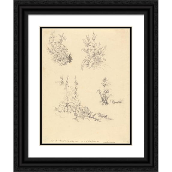 Robert Hills 12x14 Black Ornate Wood Framed Double Matted Museum Art Print Titled: Study of Foxgloves