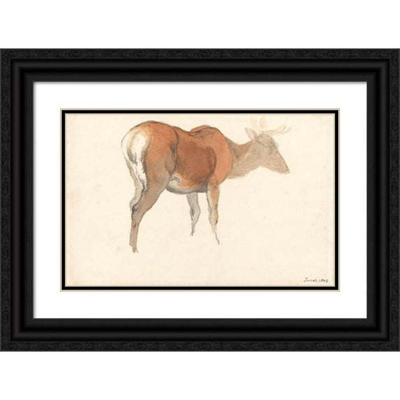 Robert Hills 14x11 Black Ornate Wood Framed Double Matted Museum Art Print Titled: A Stag (1802)