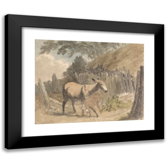 Robert Hills 14x12 Black Modern Framed Museum Art Print Titled - A Donkey and Foal