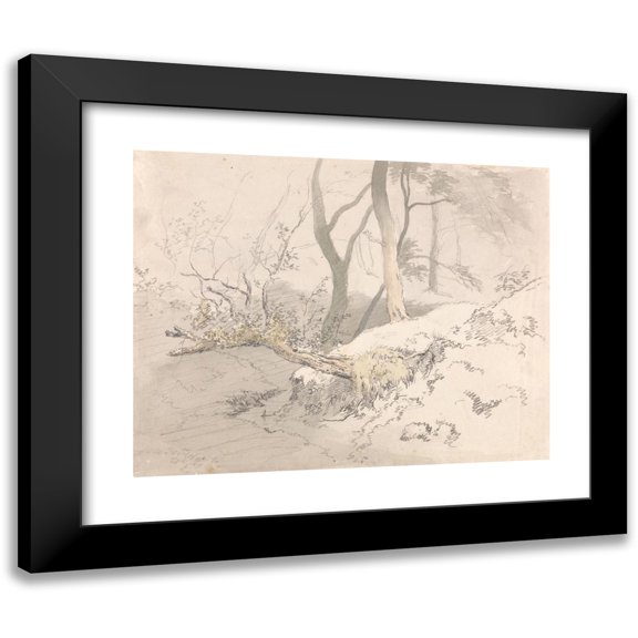 Robert Hills 14x12 Black Modern Framed Museum Art Print Titled - Woodland Shadow (After 1801)