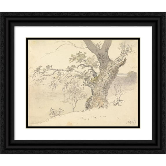 Robert Hills 24x20 Black Ornate Framed Double Matted Museum Art Print Titled: An Oak in Englefield Park