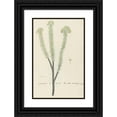 thumbnail image 1 of Robert Jacob Gordon 11x14 Black Ornate Wood Framed Double Matted Museum Art Print Titled: Euryops Lateriflorus (L.F.) Dc. (Cape Gumtree) (1777 - 1786), 1 of 5