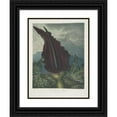 thumbnail image 1 of Robert John Thornton 15x18 Black Ornate Wood Framed Double Matted Museum Art Print Titled - The Dragon Arum (1799-1807), 1 of 5