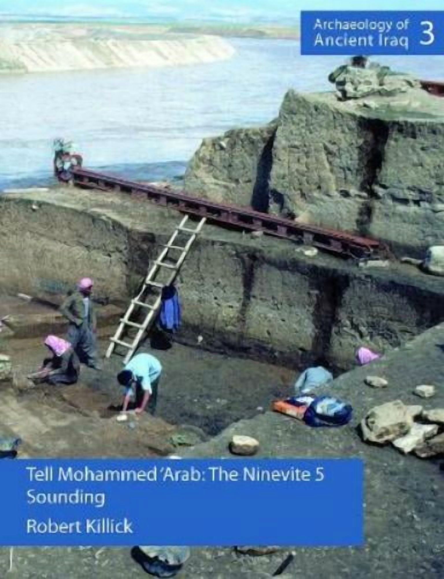 Robert Killick,Michael Roaf Tell Mohammed Arab (Hardcover) Archaeology ...