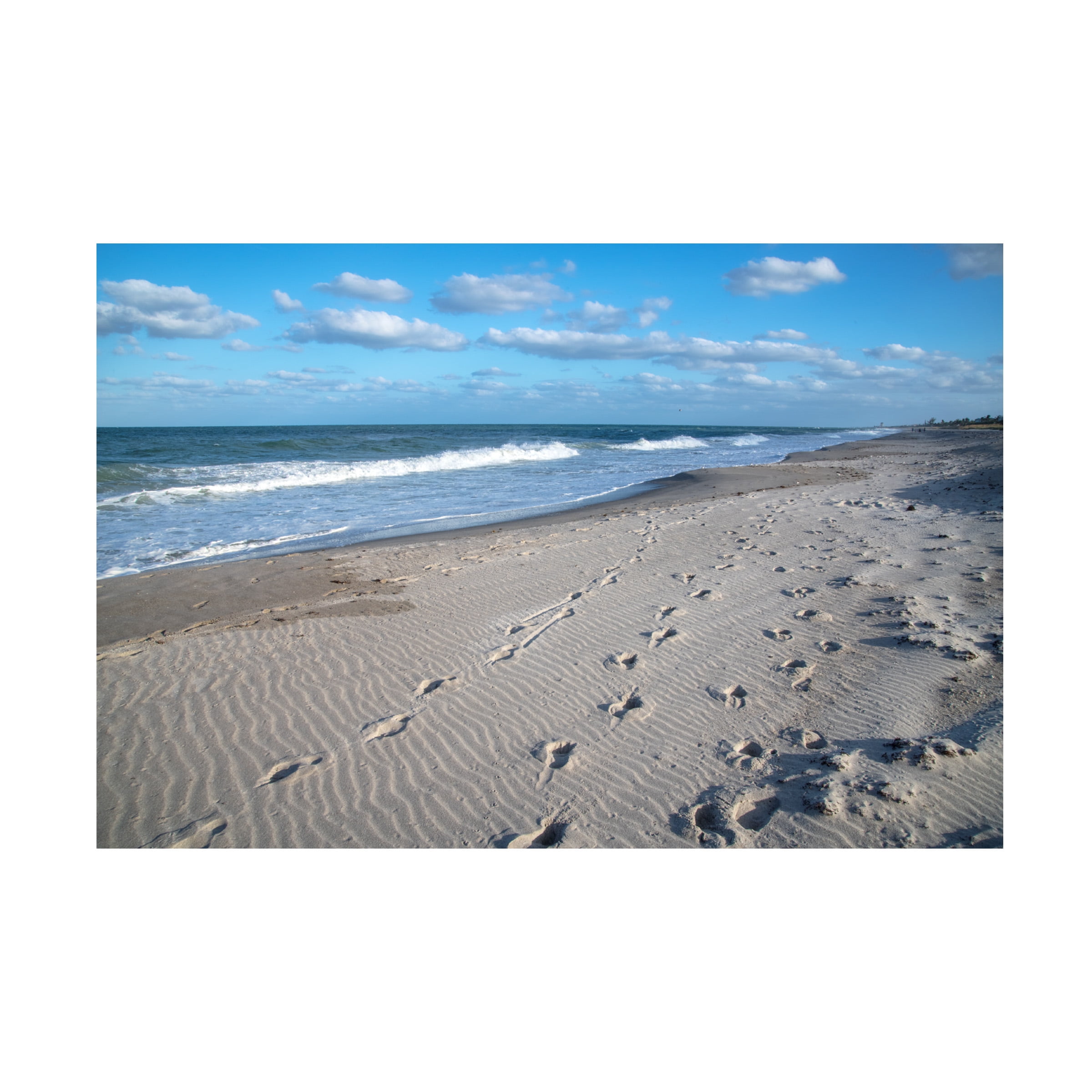 Large Blue and White Coastal Landscape Canvas Print