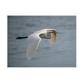 thumbnail image 1 of Robert Michaud 'Egret 2' Canvas Art, 1 of 4
