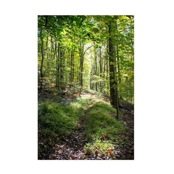 Robert Michaud 'Forest PA 2' Canvas Art