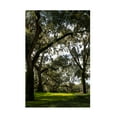 thumbnail image 1 of Robert Michaud 'Live Oak Trees' Canvas Art, 1 of 4