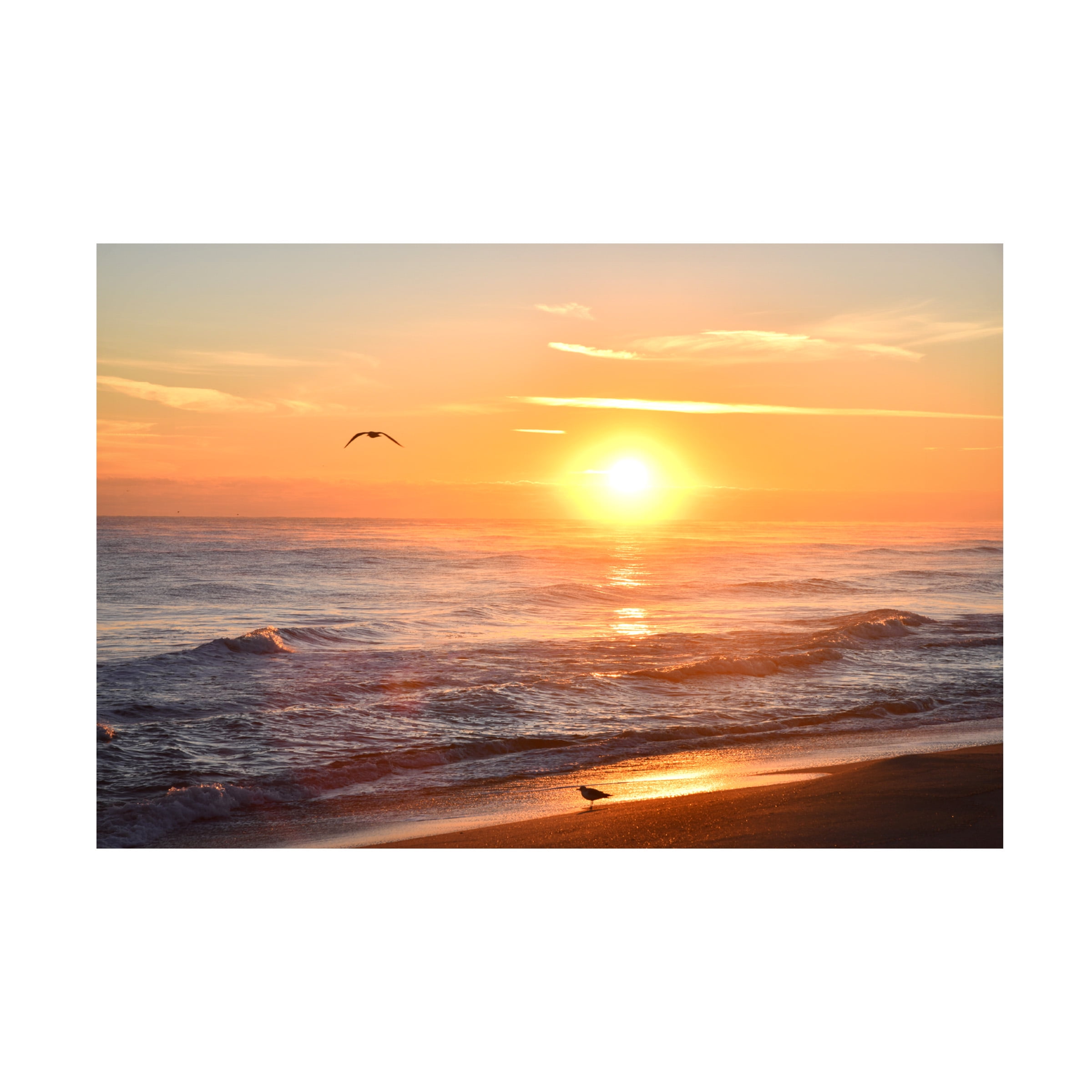 Robert Michaud 'Sunrise Playalinda Beach 2' Canvas Art