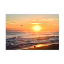 Robert Michaud 'Sunrise Playalinda Beach 2' Canvas Art