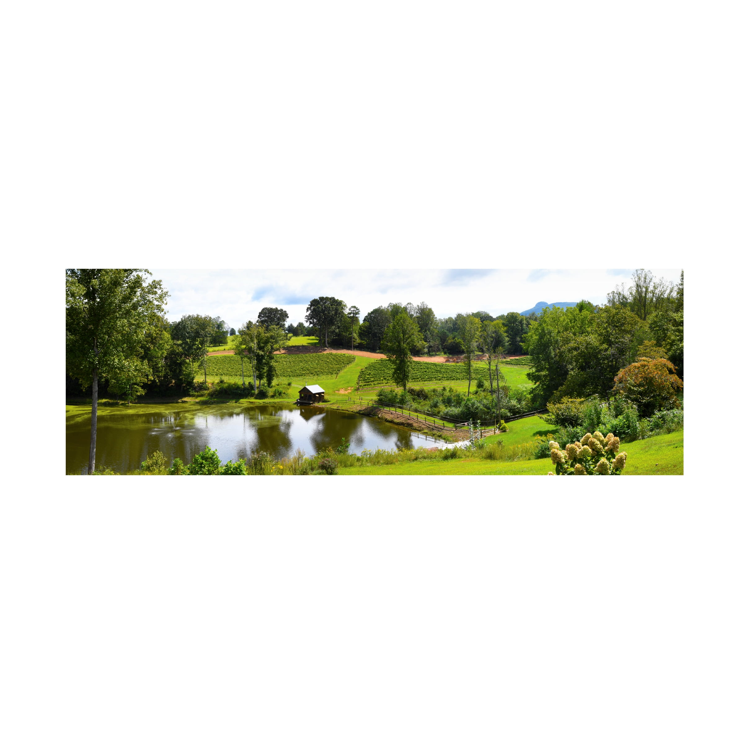 Robert Michaud 'Winery Panorama' Canvas Art