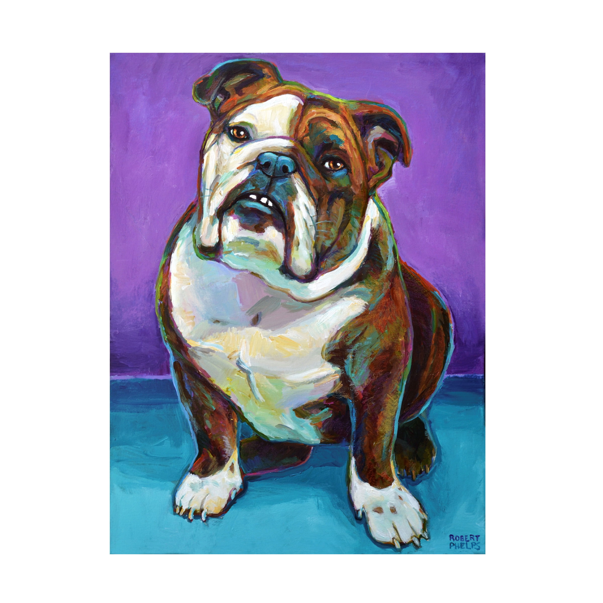 Robert Phelps Art 'Bulldog on Teal' Canvas Art