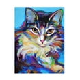 thumbnail image 1 of Robert Phelps Art 'Ragdoll on Blue' Canvas Art, 1 of 3