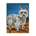 thumbnail image 1 of Robert Phelps Art 'Yorkie' Canvas Art, 1 of 3