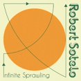 thumbnail image 1 of Robert Sotelo - Infinite Sprawling - Music & Performance - Vinyl, 1 of 6
