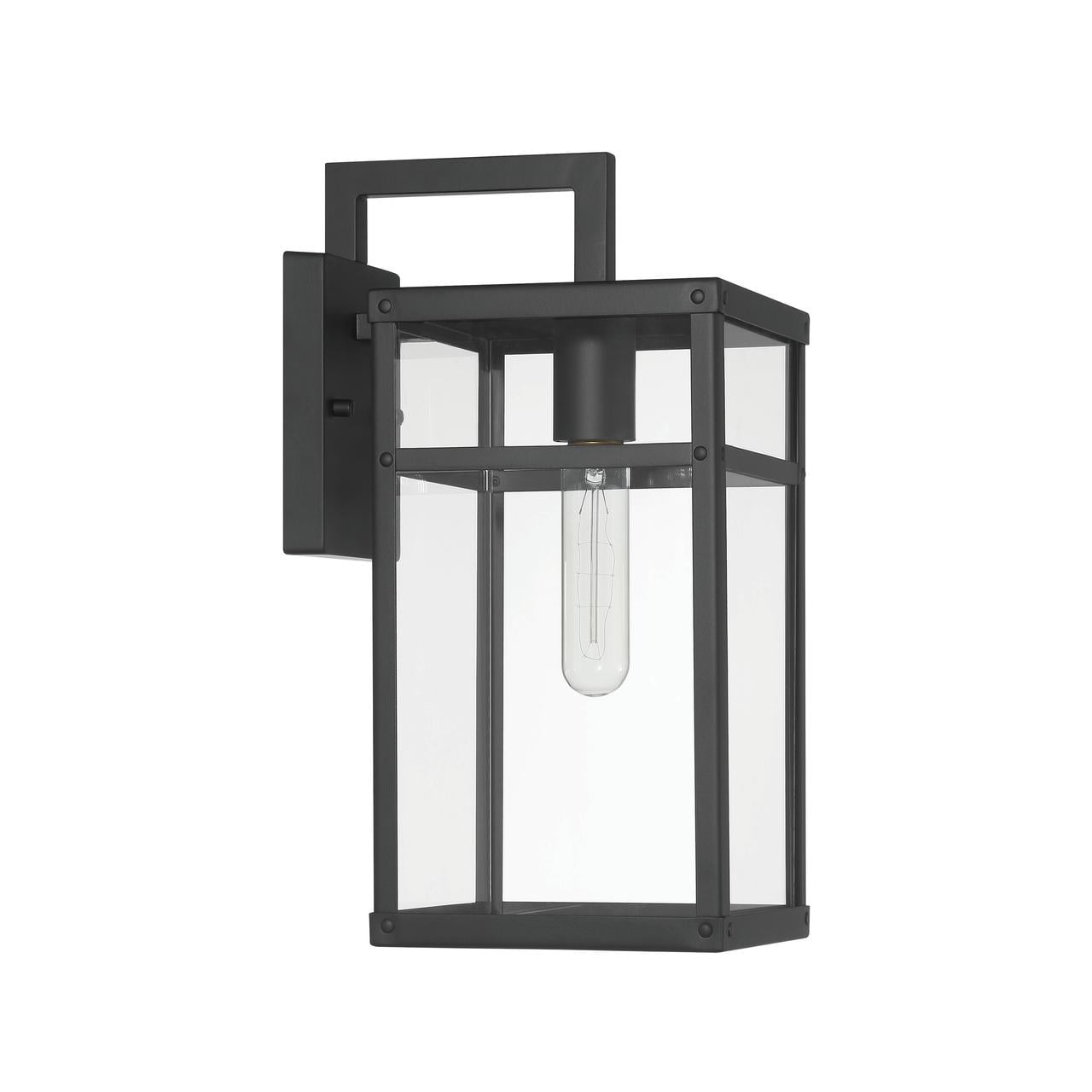 Blake Black Metal and Clear Glass Outdoor Sconce