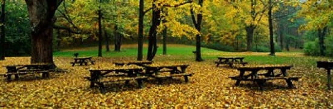 Robert Treman State Park New York State USA Canvas Art - Panoramic Images (18 x 6)