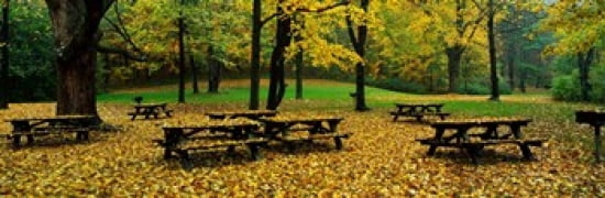 Robert Treman State Park New York State USA Canvas Art - Panoramic Images (36 x 12)