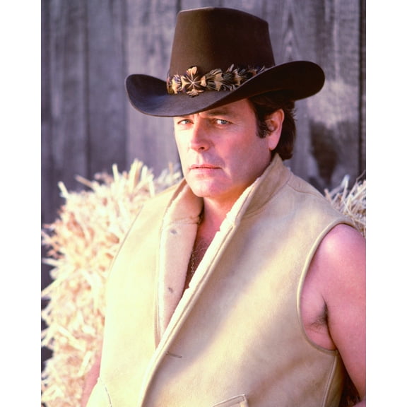 Robert Wagner 24X36 Classic Hollywood Poster Hunk Hart To Hart Pose