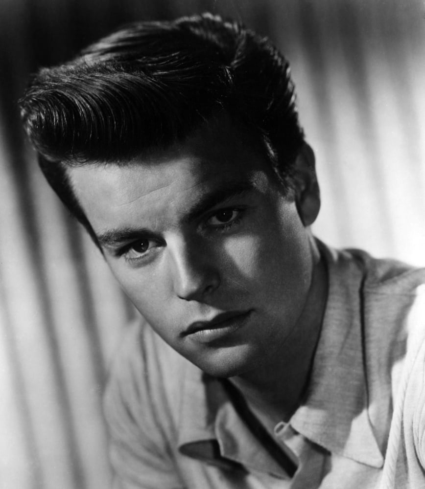 Robert Wagner Canvas Art - (16 x 20)