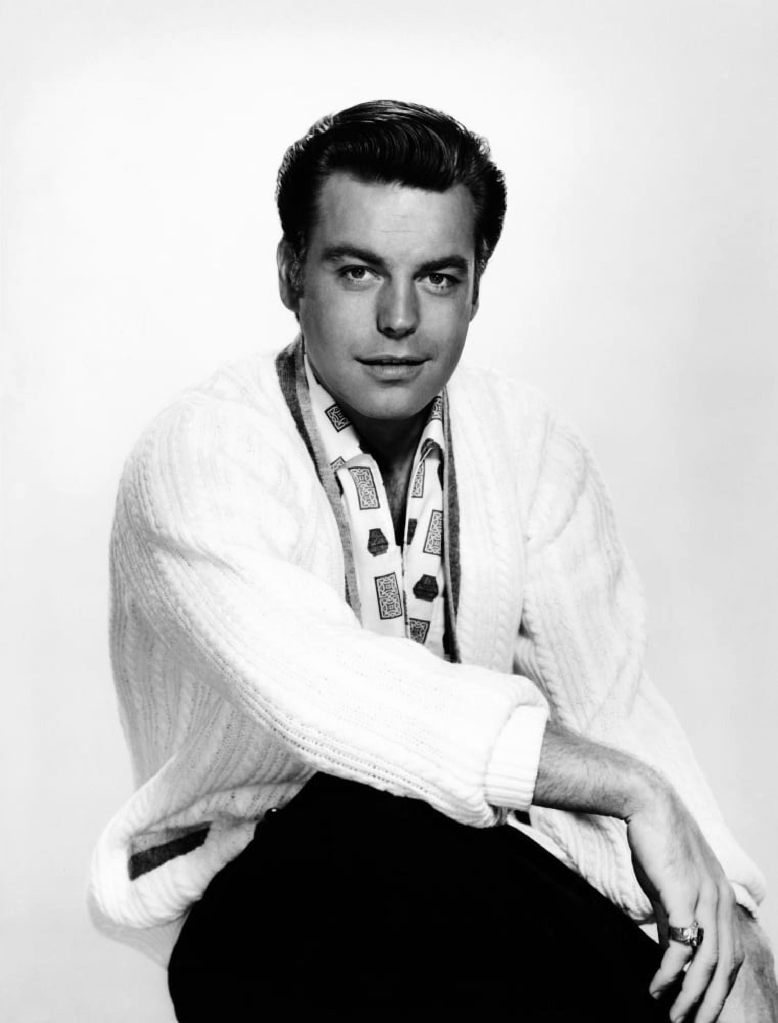Robert Wagner Canvas Art - (16 x 20)