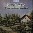 thumbnail image 1 of Roberto Fabbriciani - Flute Works - Music & Performance - CD, 1 of 1