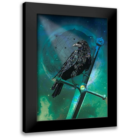 Roberts, Karin 14x18 Black Modern Framed Museum Art Print Titled - Cosmic Raven