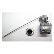 Robertshaw Gas Thermostat, 3/8 in Pipe,150 to 550 F 4200-018
