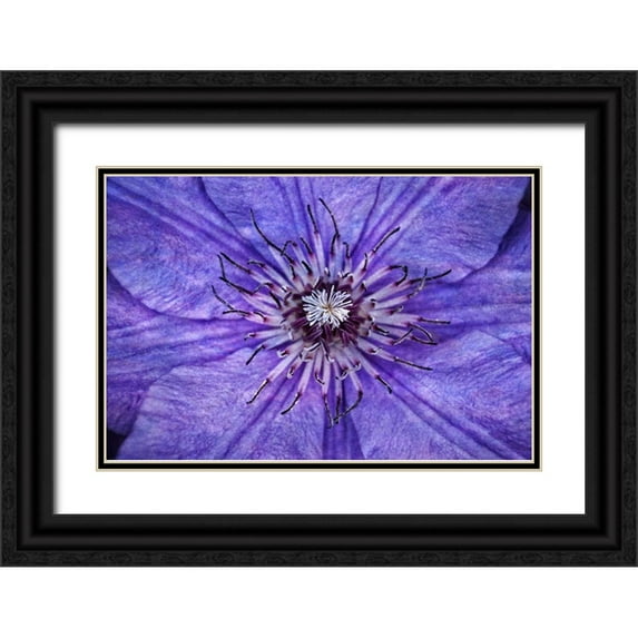 Robertson, Leda 14x11 Black Ornate Wood Framed with Double Matting Museum Art Print Titled - Inner Workings I