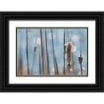 thumbnail image 1 of Robertson, Leda 14x11 Black Ornate Wood Framed with Double Matting Museum Art Print Titled - Light Dance on Cattails I, 1 of 4