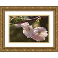 thumbnail image 1 of Robertson, Leda 14x11 Gold Ornate Wood Framed with Double Matting Museum Art Print Titled - Cherry Blossom Joy, 1 of 4