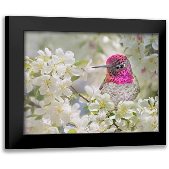 Robertson, Leda 14x12 Black Modern Framed Museum Art Print Titled - A Brilliant Peace I